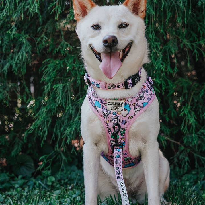 SASSY WOOF - Wholesale Pet Harness - Dog - Dog Adjustable Harness - Hello Kitty® & Friends Flower Festival15