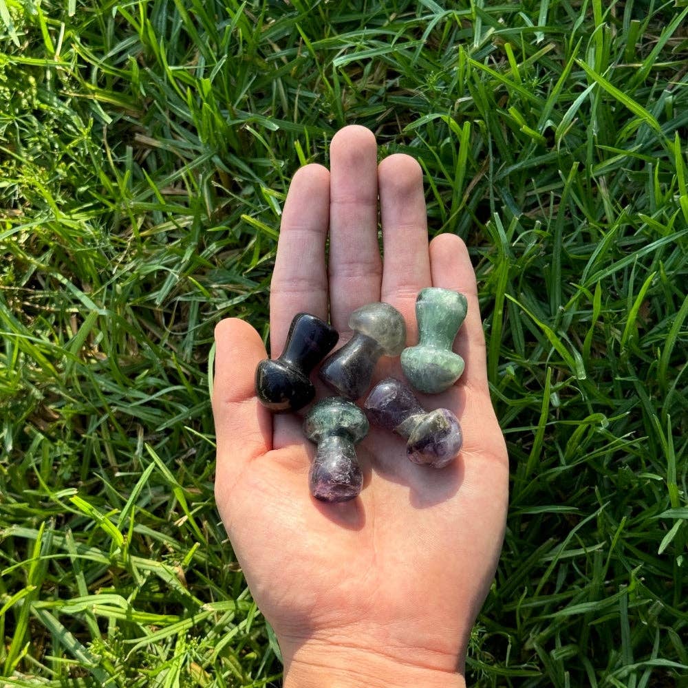 Earths Elements Wholesale - Wholesale Spiritual Stone/Crystal - Crystal Mushroom - Fluorite Medium1