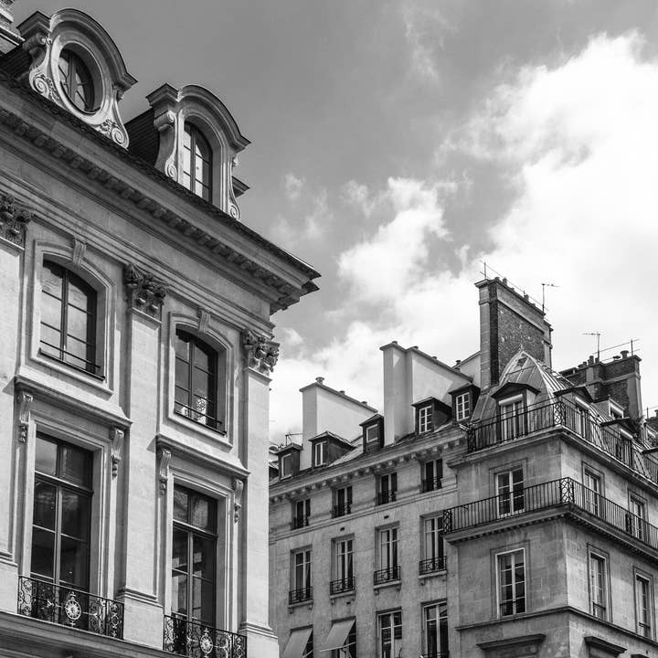 Rue Saint Honore for wholesale by Tommy's Print Shop