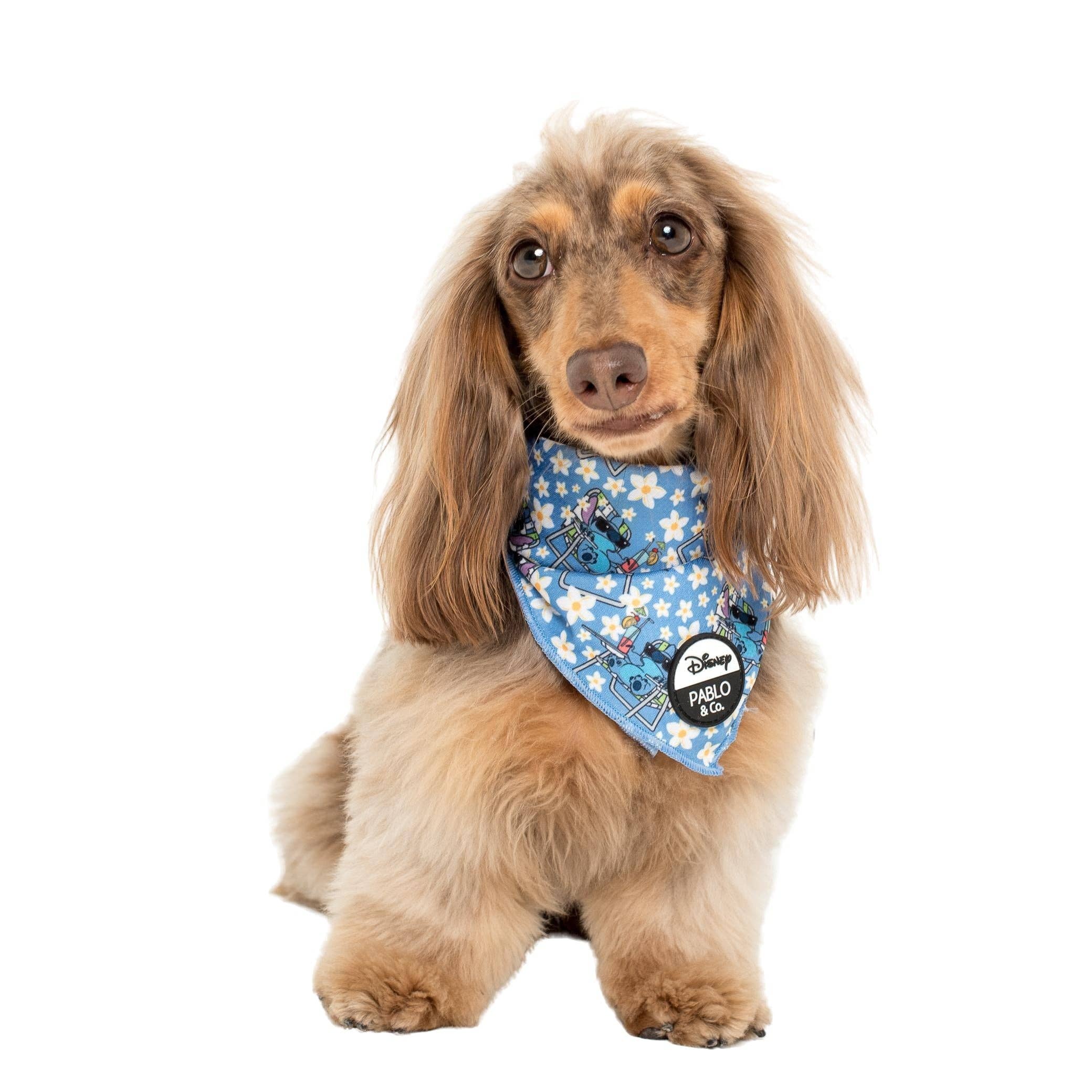 Pablo & Co. Boutique - Wholesale Pet Bandana - Dog - Disney Stitch By The Pool: Dog Bandana0