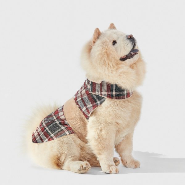 ARISTOPET – wholesale Ytterkläder - Hund – HUNDROCK LÖV14