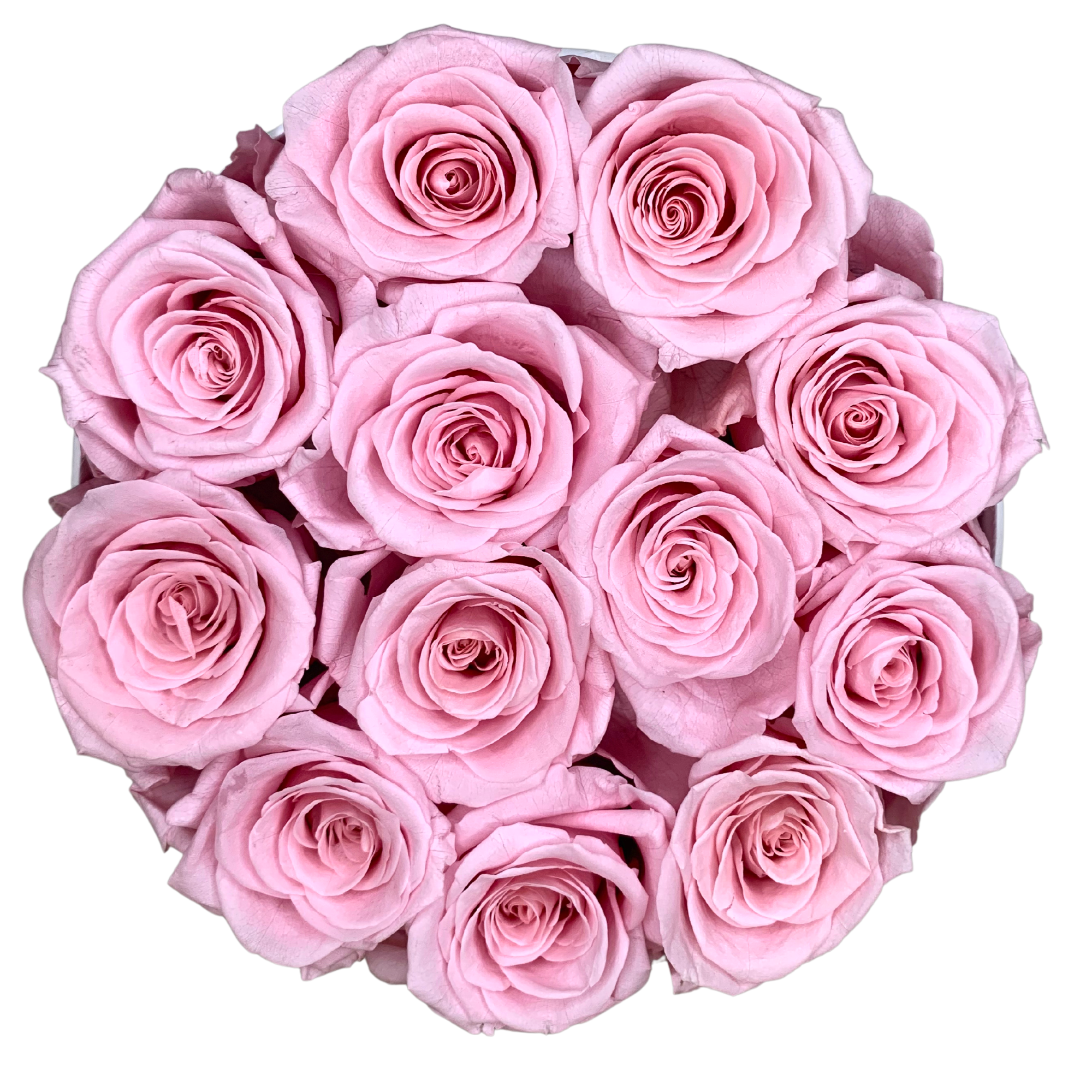 verona home and gift - Wholesale Dried/Pressed Flowers - 12 Real Preserved Roses that Last Forever In Round Box10
