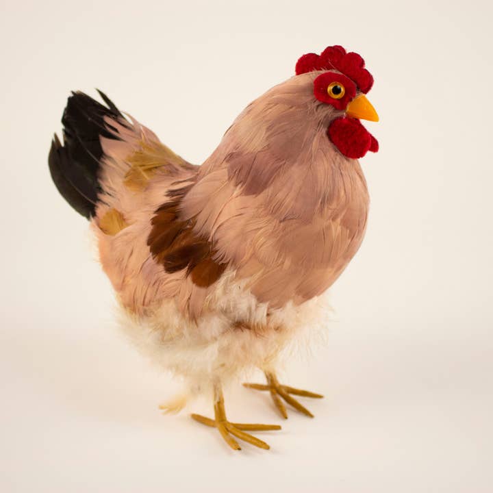 Naturlig fjer høne 21,6 cm x 30,5 cm for engroshandel hos Zucker Feather Products