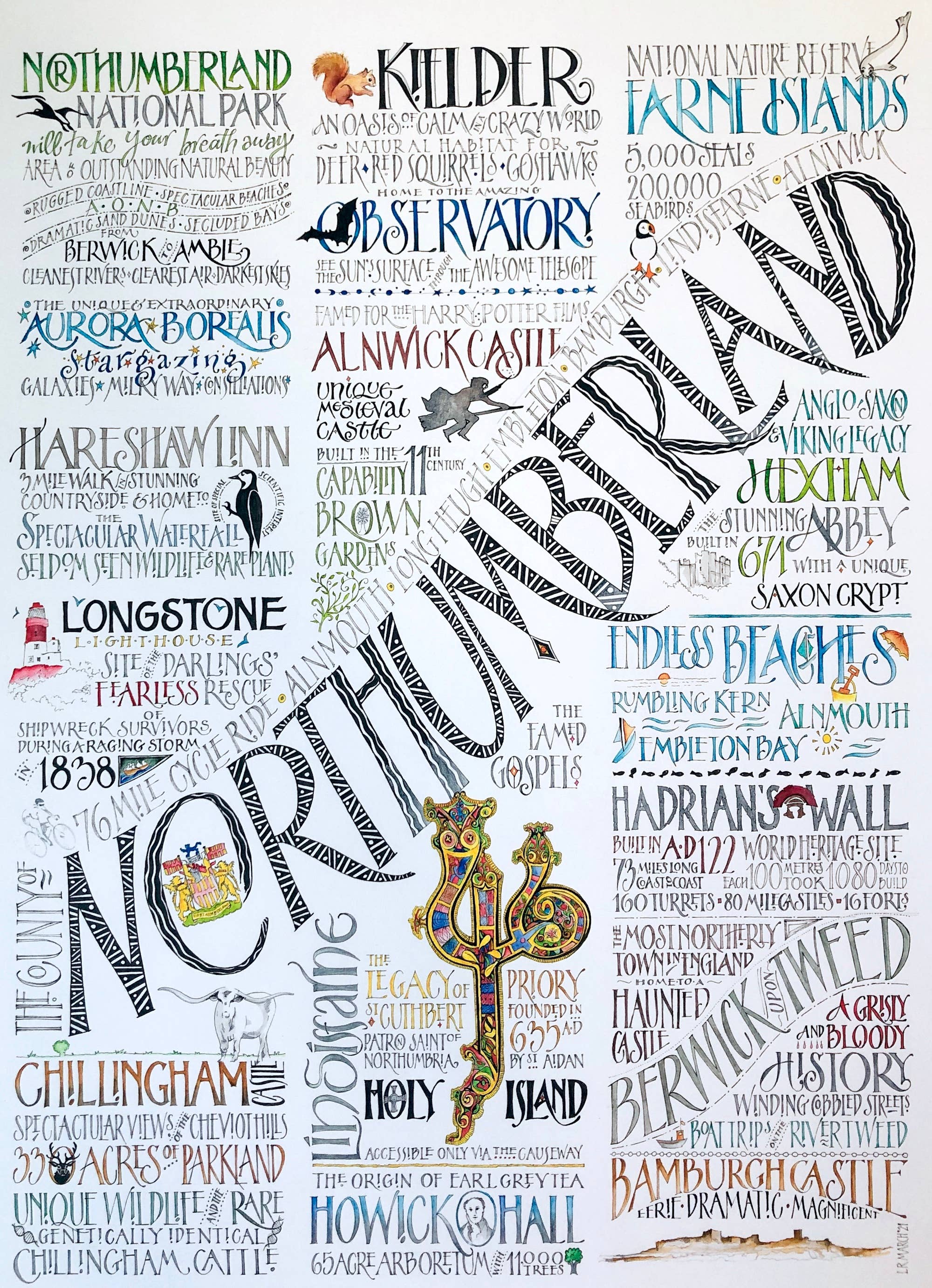 Inklings Art - Wholesale Theedoek - In het VK gemaakte Northumberland theedoeken van 100% katoen1