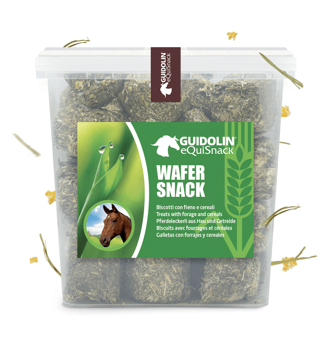 2G Pet Food, Equisnack, Equibar, Guidolin Gianni - Vendita all'ingrosso Snack - Cani - Biscotti con fieno e cereali per cavalli | Made in Italy2