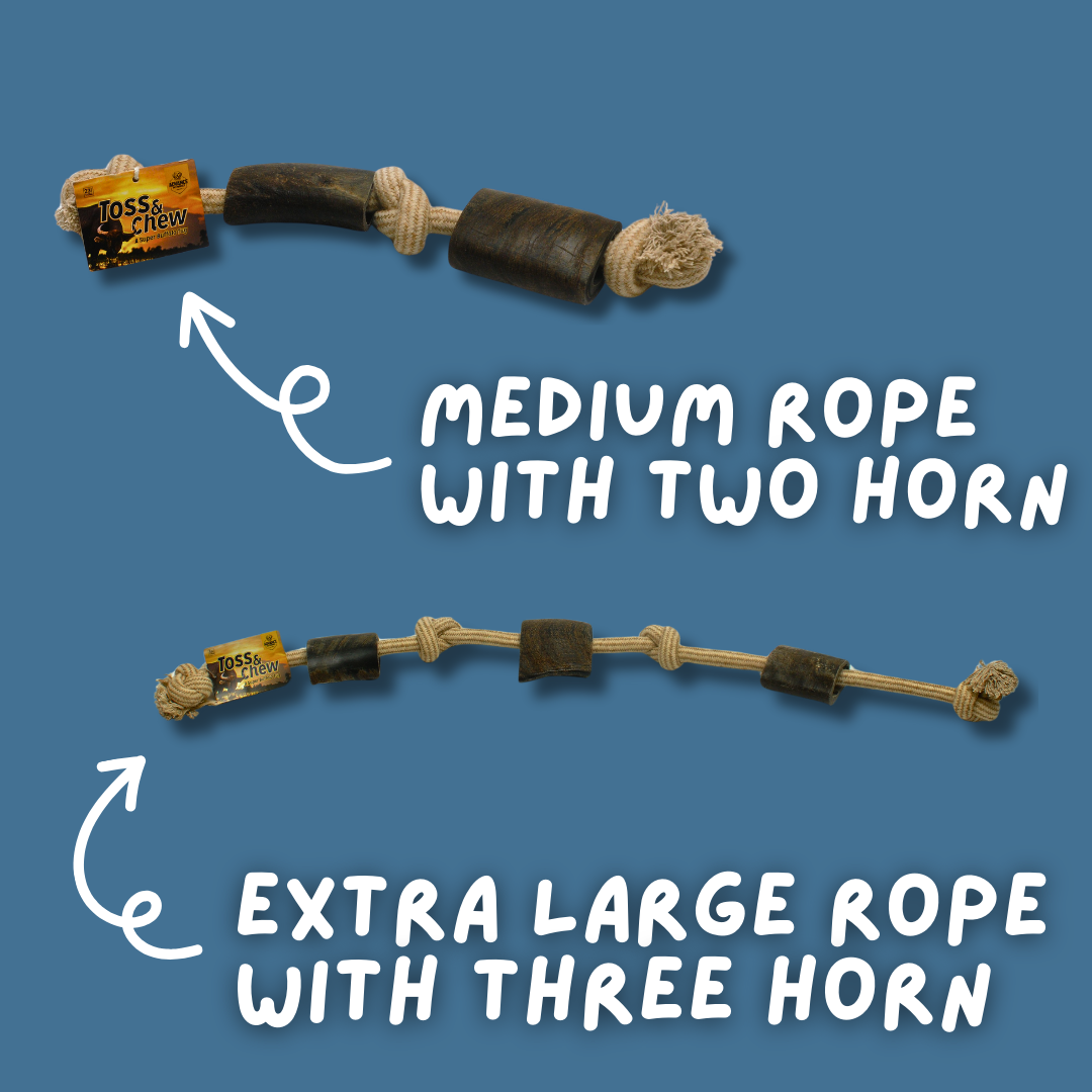 Advance Pet Products - Wholesale Pet Rope Toy - Dog - Rope with Water Buffalo Horns! Variety of sizes!1