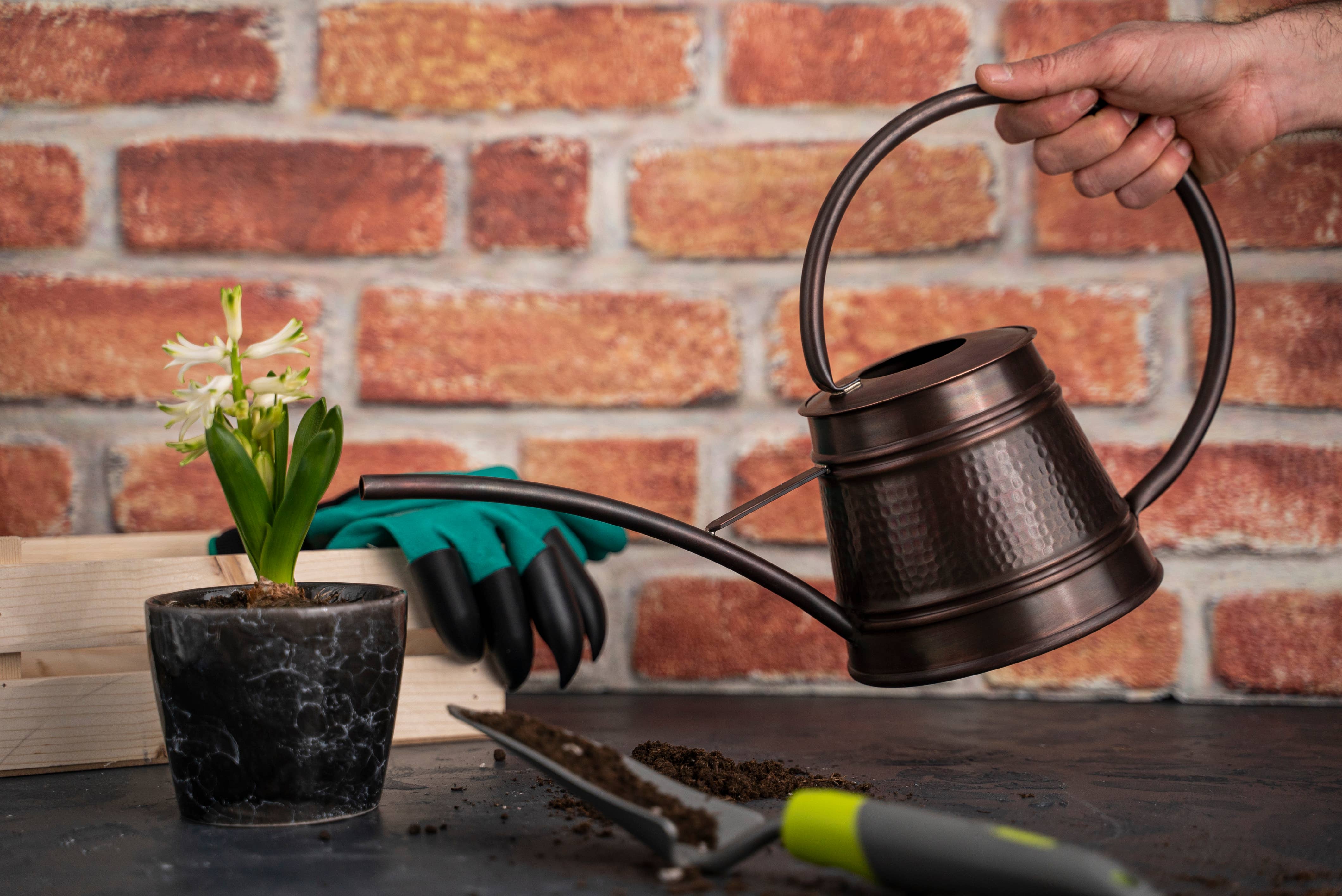 ALFIQ Copper - Wholesale Watering Can - Handmade Solid Copper Watering Can | Copper Planter Pot1