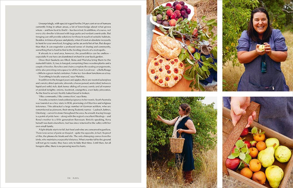 W. W. Norton - Wholesale Home & Garden - The Foraged Home12