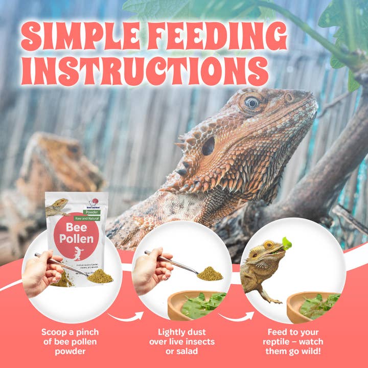 Snout and Shell - Wholesale Pet Supplement - Not Cat/Dog - Bee Pollen Powder for Reptiles - 2.5 oz2