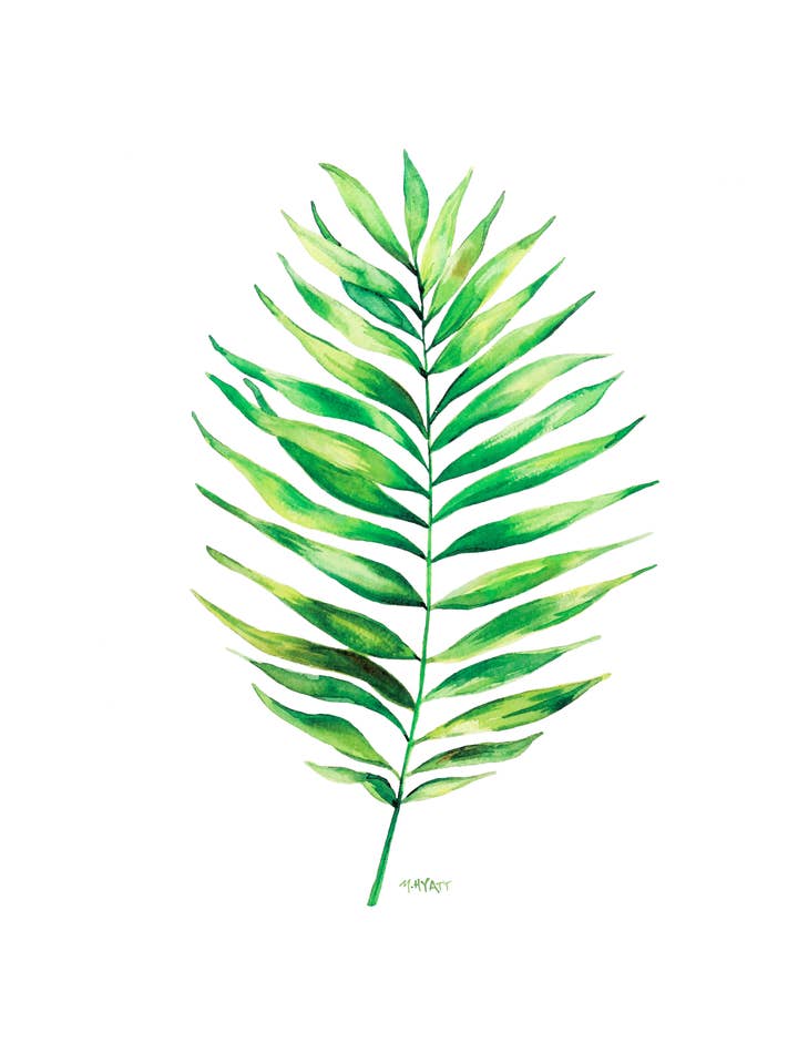 "Palm Leaf" Giclee Print for wholesale by Melissa Hyatt
