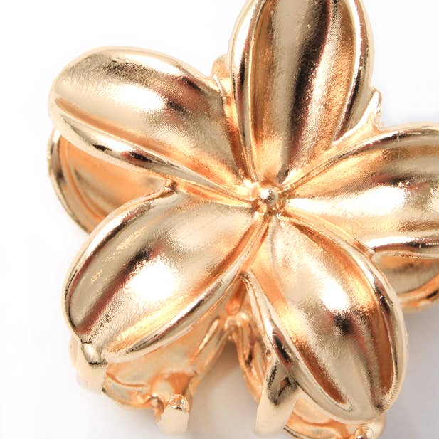 Inca UK – wholesale Hårklämma - Dam – Litet set med metallblomklämmor