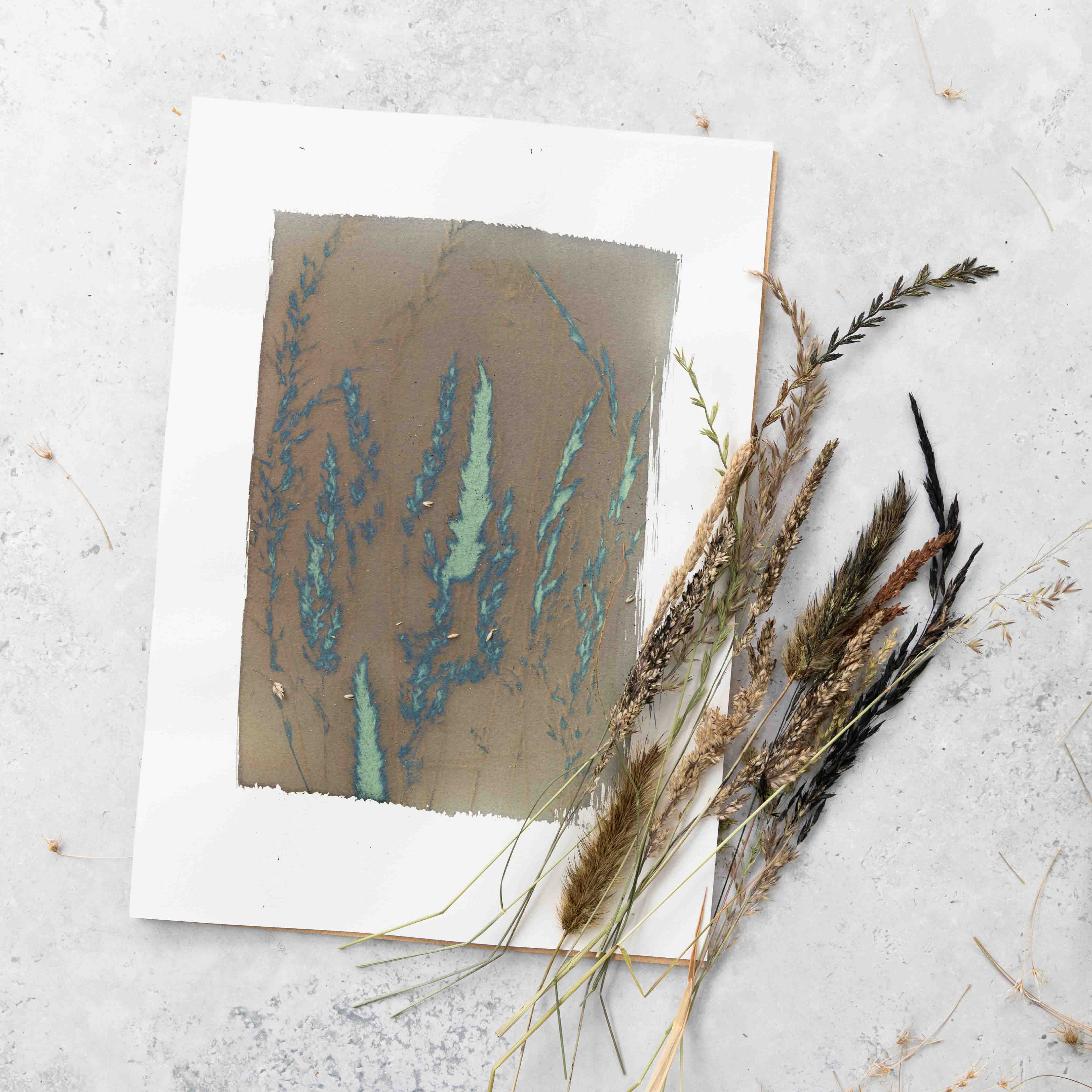 The Wild Darkroom – wholesale DIY craft kit – Cyanotype Printing Paper A44