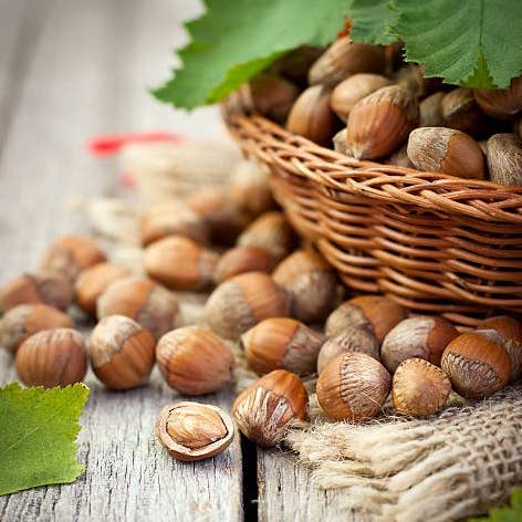 Maison Bruyere - Wholesale Biscuit - Cacao Nibs Hazelnut Cookies 3