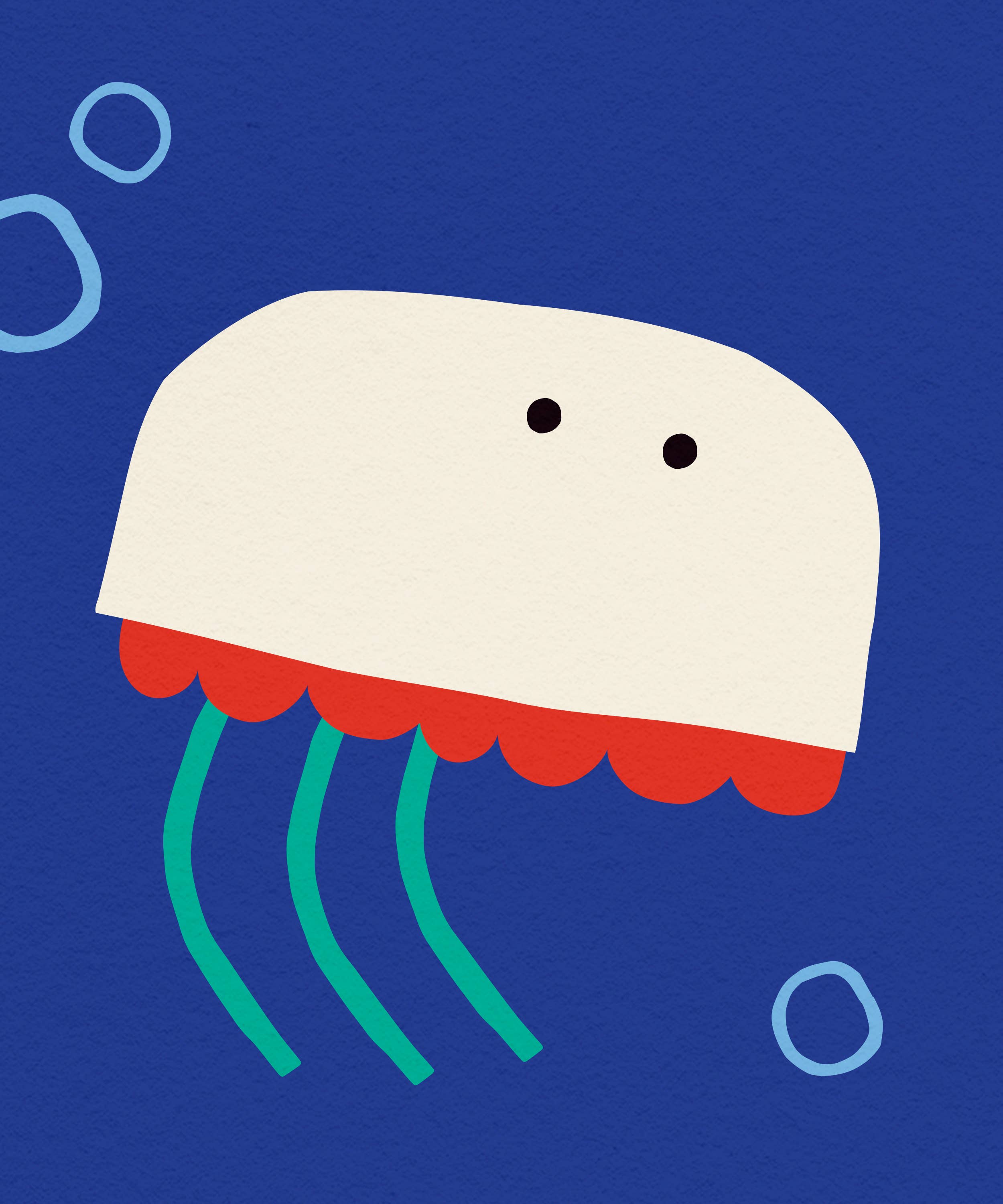 Surprise Radish - Wholesale Art Print - Jellyfish Art Print1