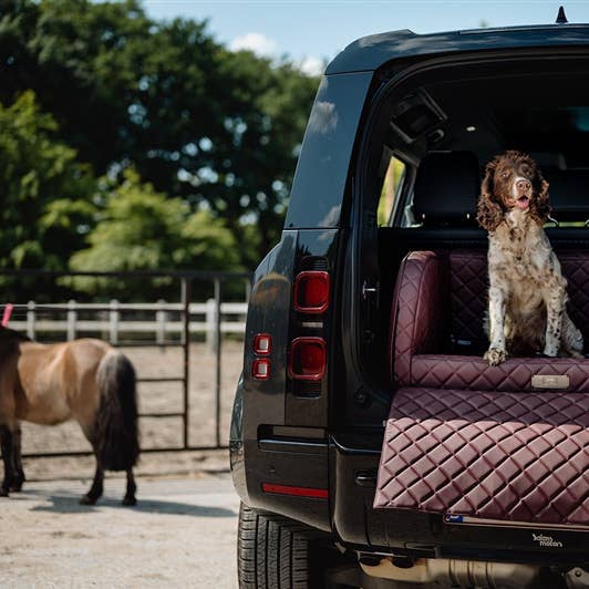 Letto da bagagliaio Excellent per la vendita all'ingrosso da parte di Dogstyler