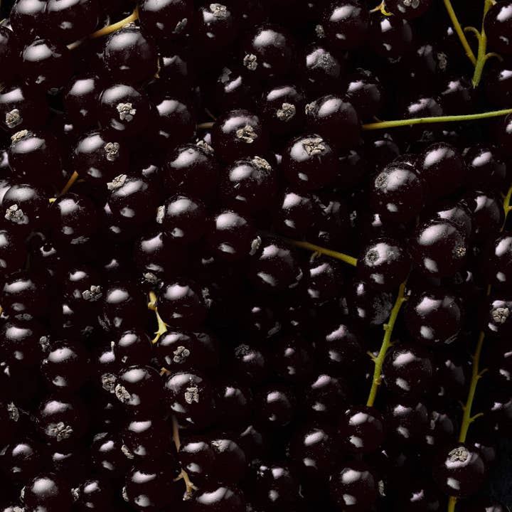 ahead - Wholesale Jam/Jelly - Blackcurrant Jam (Tray 6x200g)