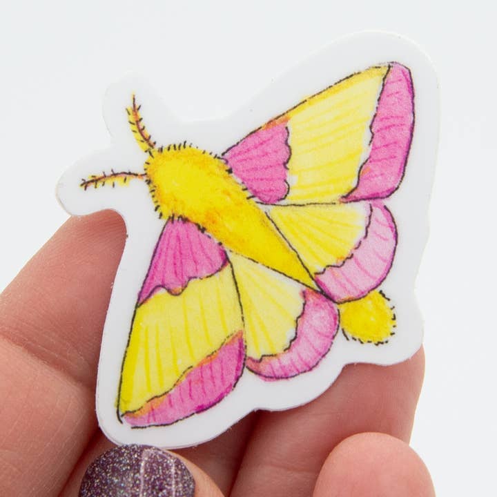Adesivo de vinil Rosy Maple Moth por atacado de Jennifer Schiano Studio