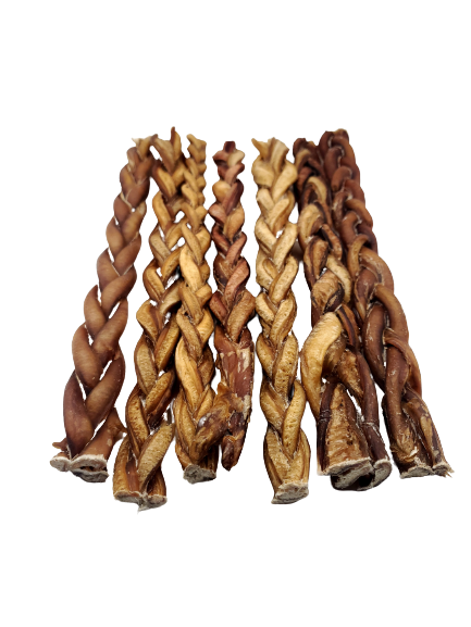 Dibo Pet Foods - Wholesale Pet Treats - Dog - Braided Bully Stick – Low Odor Pizzle – STANDARD - 12"3
