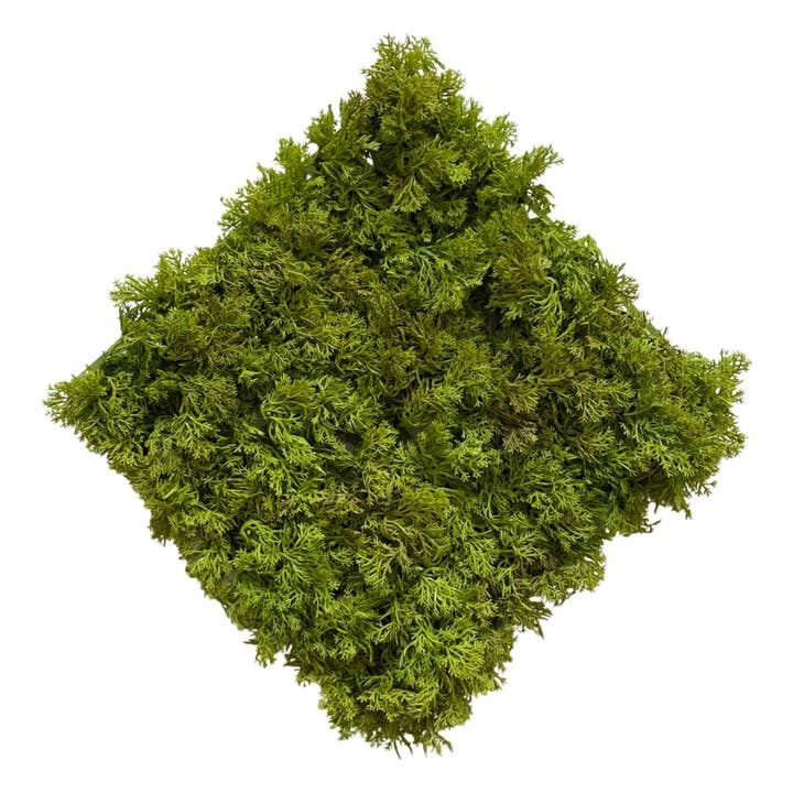 PM10291 MOSS MAT(UV,FIRE-RETARDANT),10in for wholesale by Green Import Limited