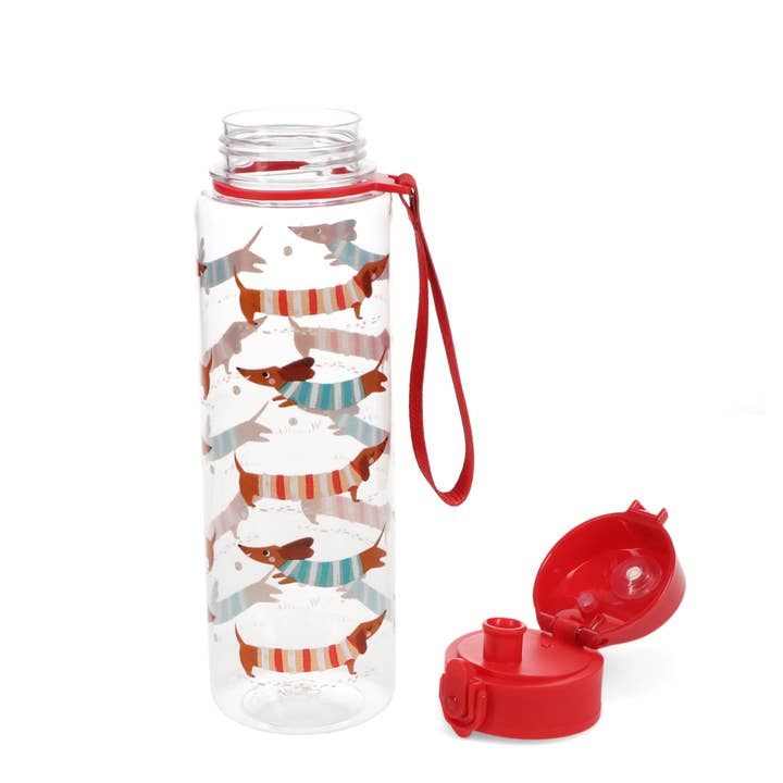 Rex London UK - Wholesale Water Bottle - Drinks bottle with push button lid 700ml - Sausage Dog