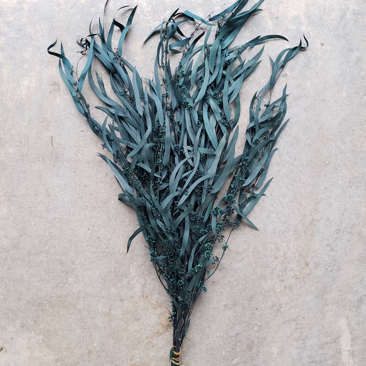 Konservierter Eukalyptus mit Trauerweidensamen, Pfauenblau für den Großhandel von BLOOMINGFUL.COM