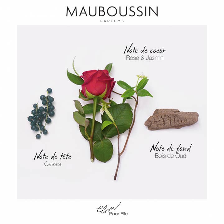 Mauboussin Parfums - Wholesale Perfume/Eau de Toilette - Mauboussin Elixir Pour Elle Eau de Parfum for Women1