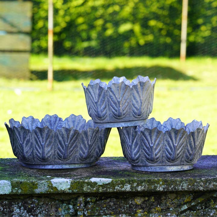 Acanthus Pflanzgefäße, 3er-Set verzinkter Metallblumentöpfe für den Großhandel von Vale Ornaments