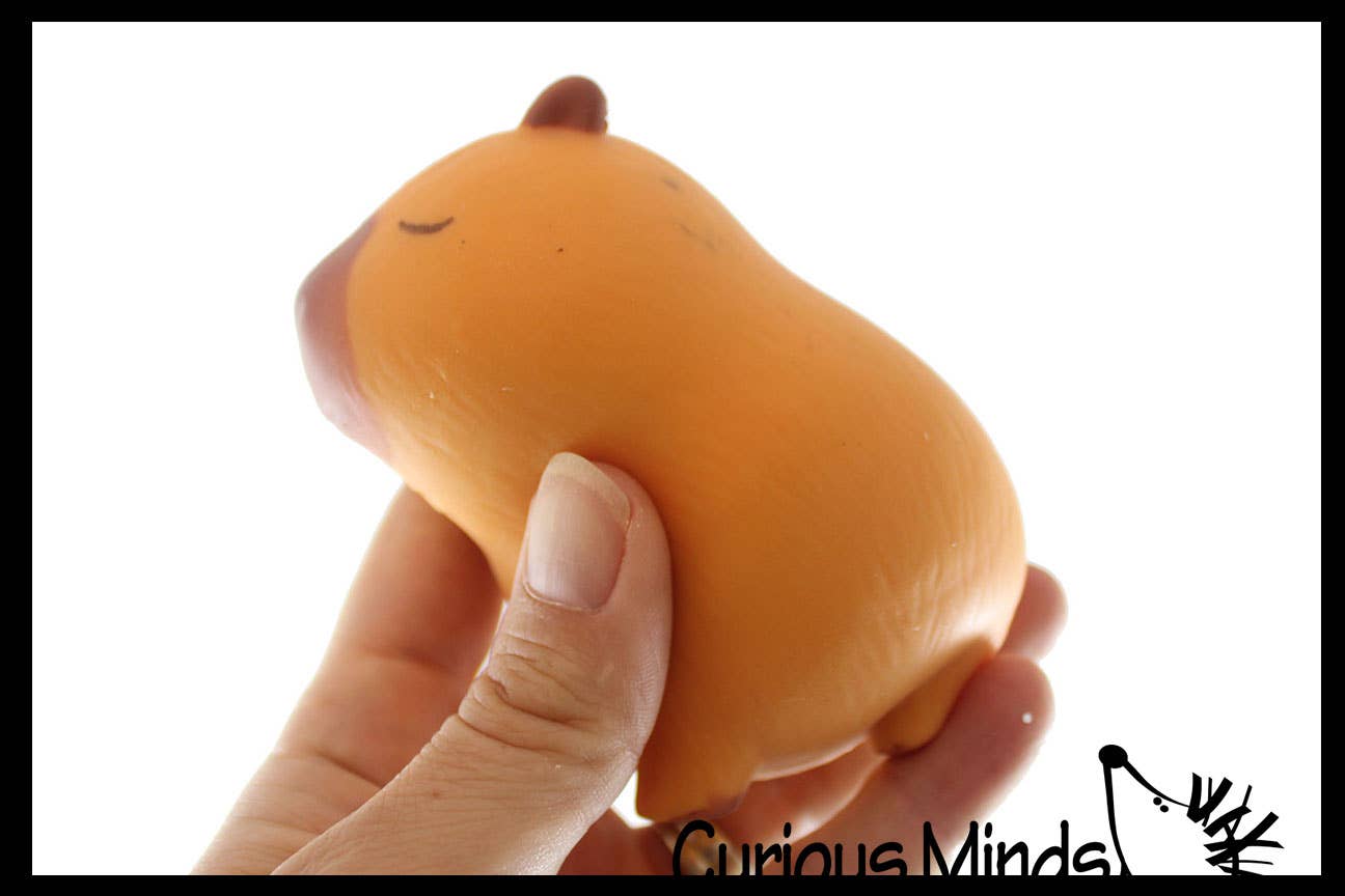 Curious Minds Toys - Wholesale Squishy Toy - Kids & Baby - 1 Capybara Squishy Squeeze Stress Ball Soft Doh Filling - L9