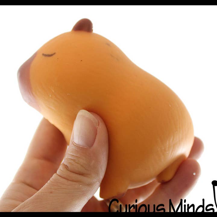 Curious Minds Toys - Wholesale Squishy Toy - Kids & Baby - 1 Capybara Squishy Squeeze Stress Ball Soft Doh Filling - L9