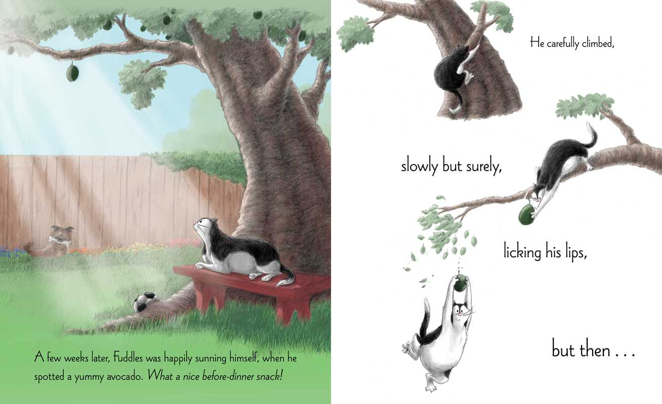 Simon & Schuster - Wholesale Pets - Fuddles and Puddles by Frans Vischer3