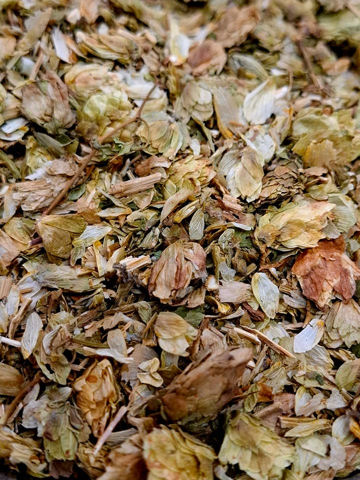 Fleurs de houblon (Humulus lupulus) 1 kg pour la vente par CADUCEUS kruidenapotheek