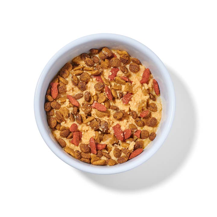 Portland Pet Food Company - Wholesale Pet food โ Cat - Luke's Chicken N' Pumpkin Human Grade Fresh Wet Food 4