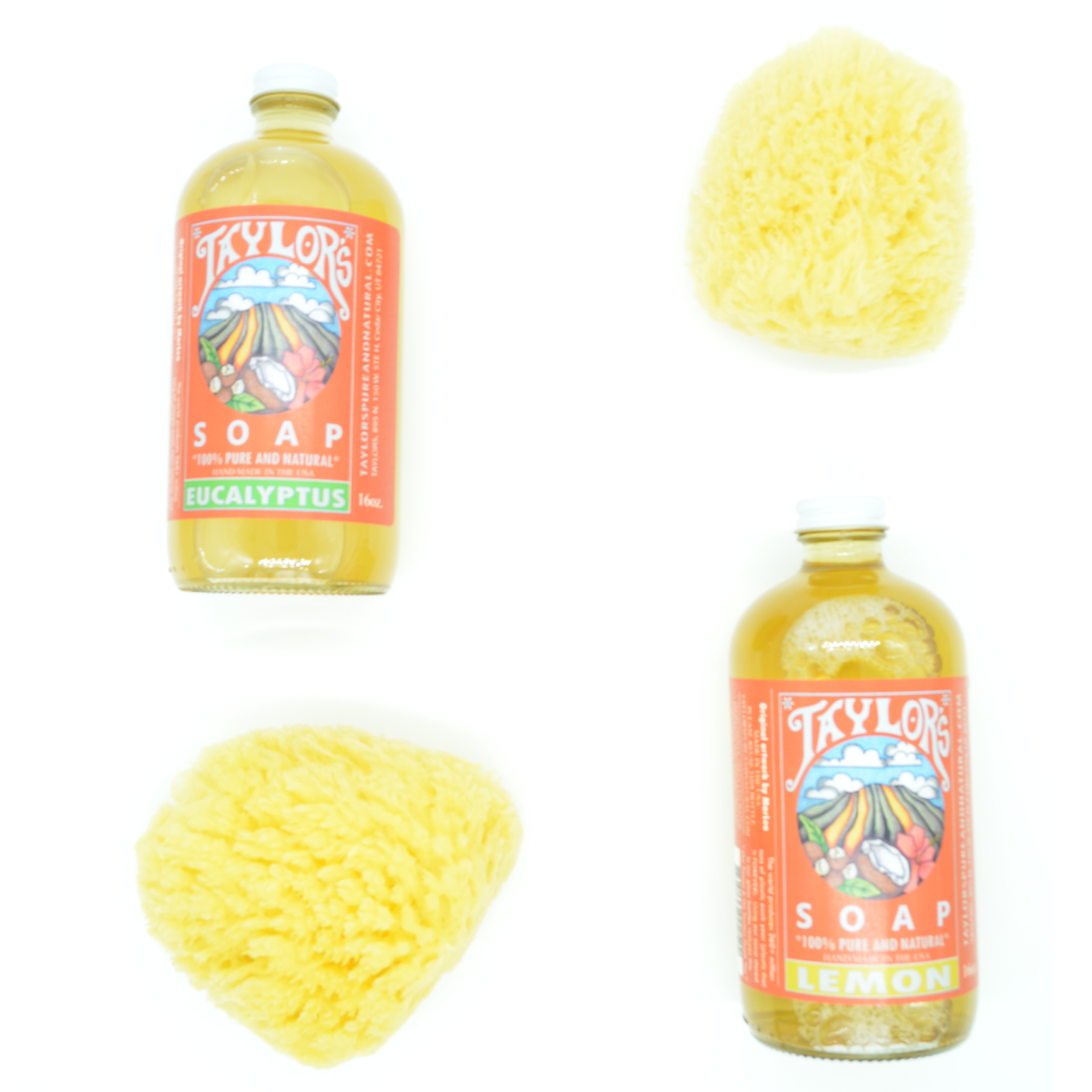 Taylor's Naturals - Wholesale Liquid Laundry Detergent - Liquid Castile Soap * All Natural - Glass Bottle 16 oz1