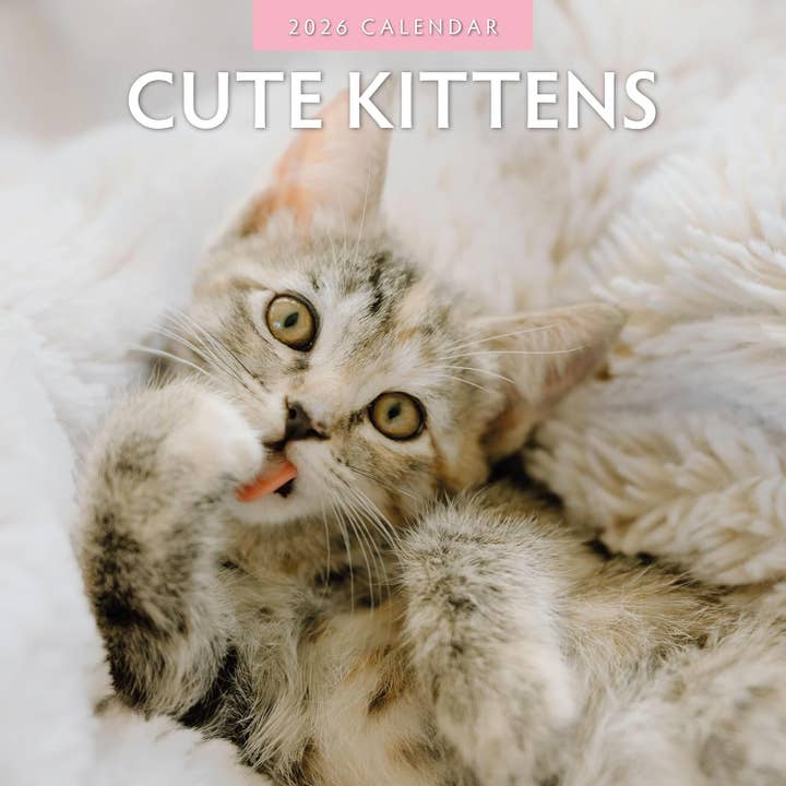 Red Robin 2026 Cute Kittens Monthly Wall Calendar for wholesale by MiddleGift
