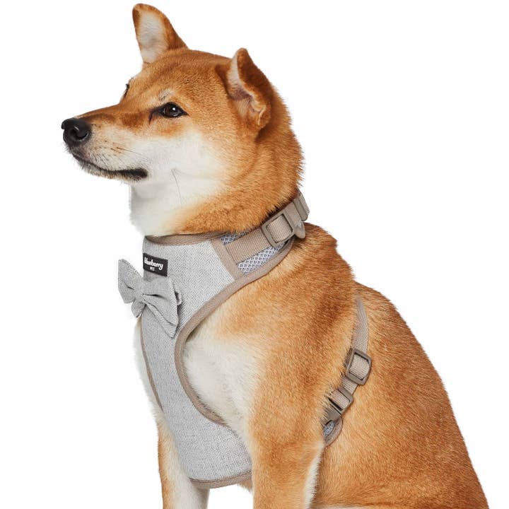 Blueberry Pet - Wholesale Pet Harness - Dog - Textured Tweed Dog Harness Vest