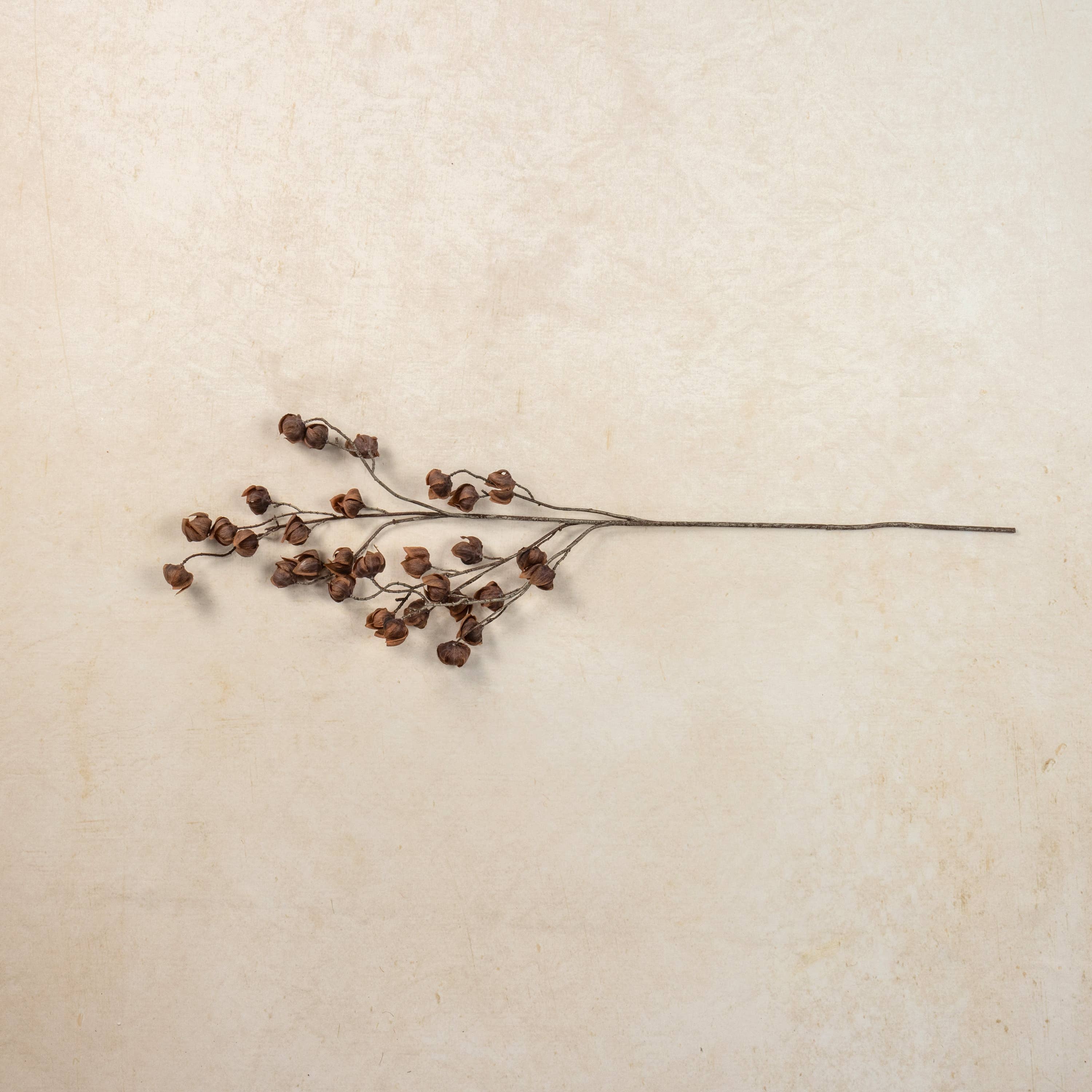 Ragon House - Wholesale Lantern - 38" BROWN CHINESE LANTERN SPRAY3