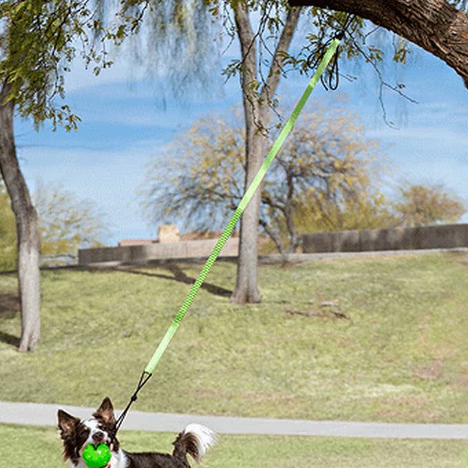 King Wholesale Pet Goods - Wholesale Pet Toy - Dog - Jollypet Tree Tugger0