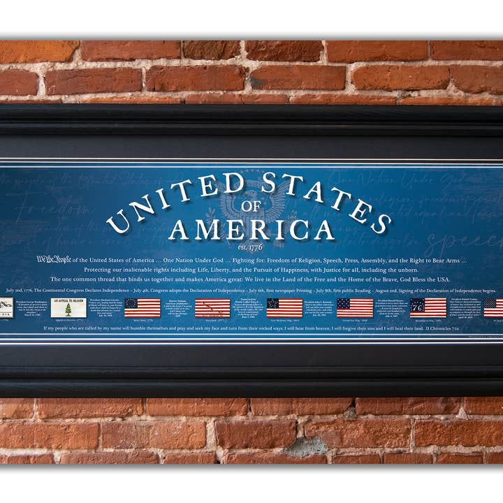 We The People, con marco negro de 2 pulgadas, 11 ¾ x 36 pulgadas para venta al por mayor de History America