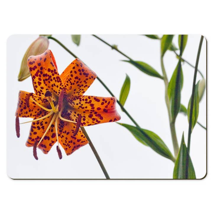 Gregory Dennis Design - Wholesale Placemat - 6 Floral Placemats - Lilium4