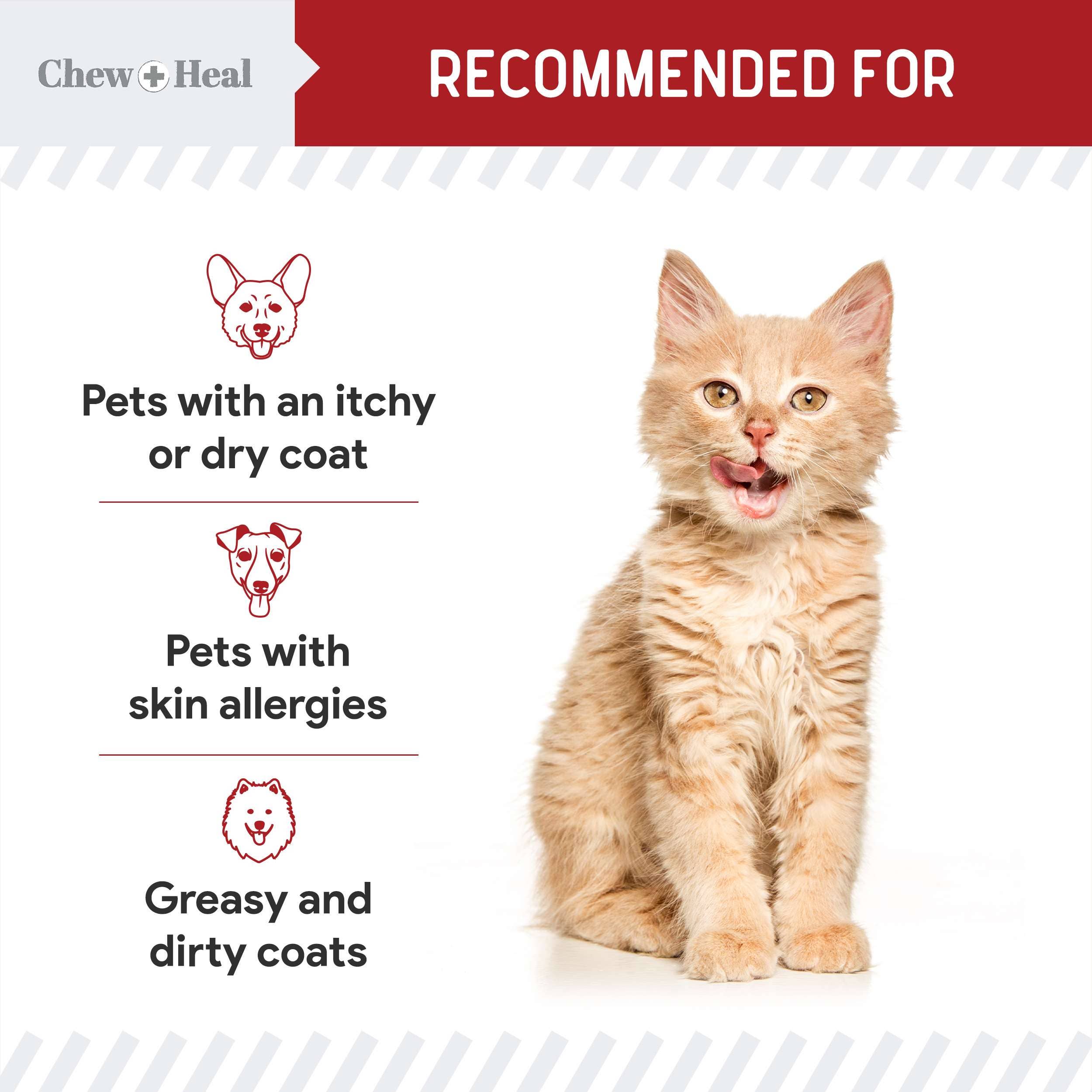 Chew + Heal - Wholesale Pet Supplement - Cat/Dog - Wild Alaskan Salmon Oil Hearty Beef Flavor for Dogs & Cats7