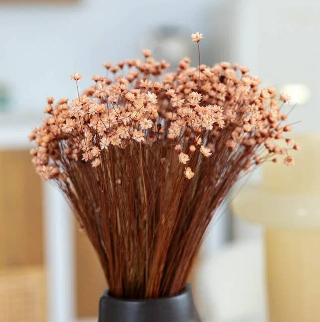 .AVPV. Studio - Wholesale Artificial Flowers - Glixia mini star flowers3