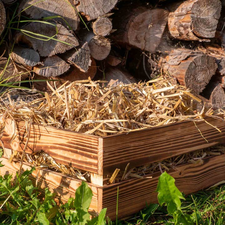Mantillo de paja de jardín de cebada: mantillo natural para camas elevadas y vegetales, con baja emisión de polvo y alta capacidad de absorción, cobertura del suelo sostenible de cultivo regional. para venta al por mayor de Oasis of Life