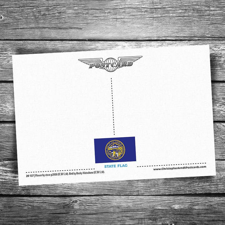 Christopher Arndt Postcard Co. - Wholesale Postcard - Greetings from Nebraska Postcard1