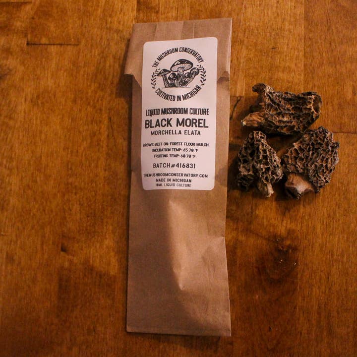 10mL Black Morel Spore Liquid Culture | Morchella Elata Mushroom Culture for wholesale by The Mushroom Conservatory LLC