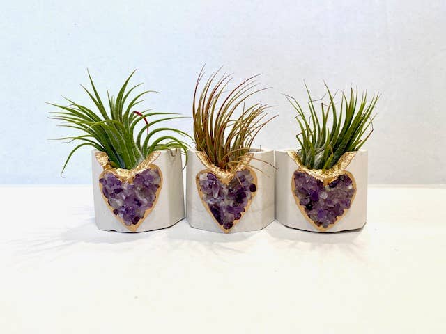 Plant One On Me Designs - Wholesale Plant pot - Amethyst HEART Geode Planter w/ Air Plant - Air Plant Holder3