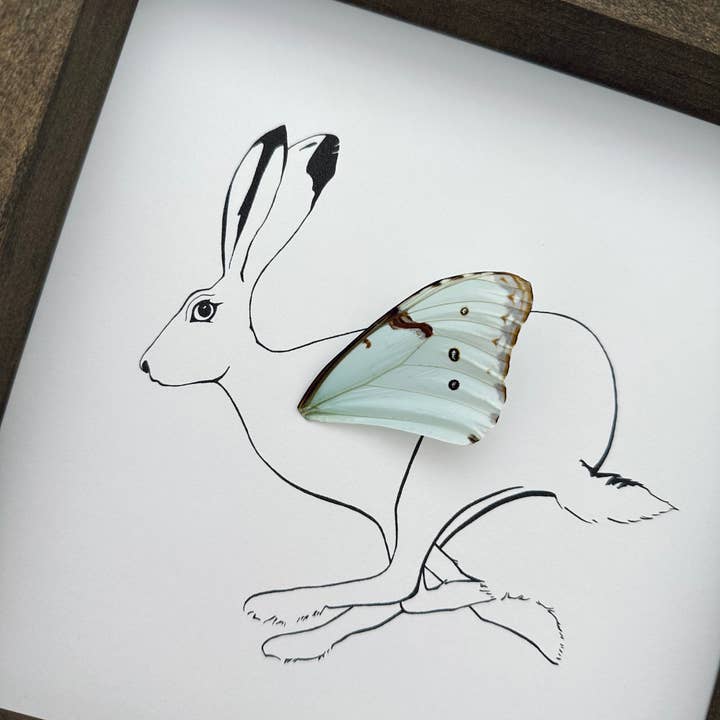 Isms – Großhandel 3D-Wandkunst – Gerahmtes Kunstbild mit Hase und echtem Schmetterlingsflügel5