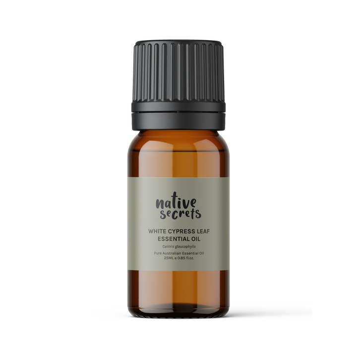 Native Secrets - Wholesale Essential oil - White Cypress Leaf Essential Oil