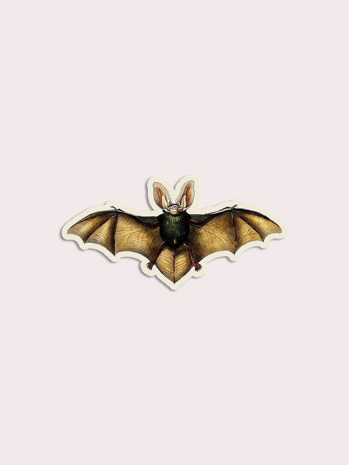 Blasé Bat - Gap Filler Sticker for engroshandel hos Stay Home Club