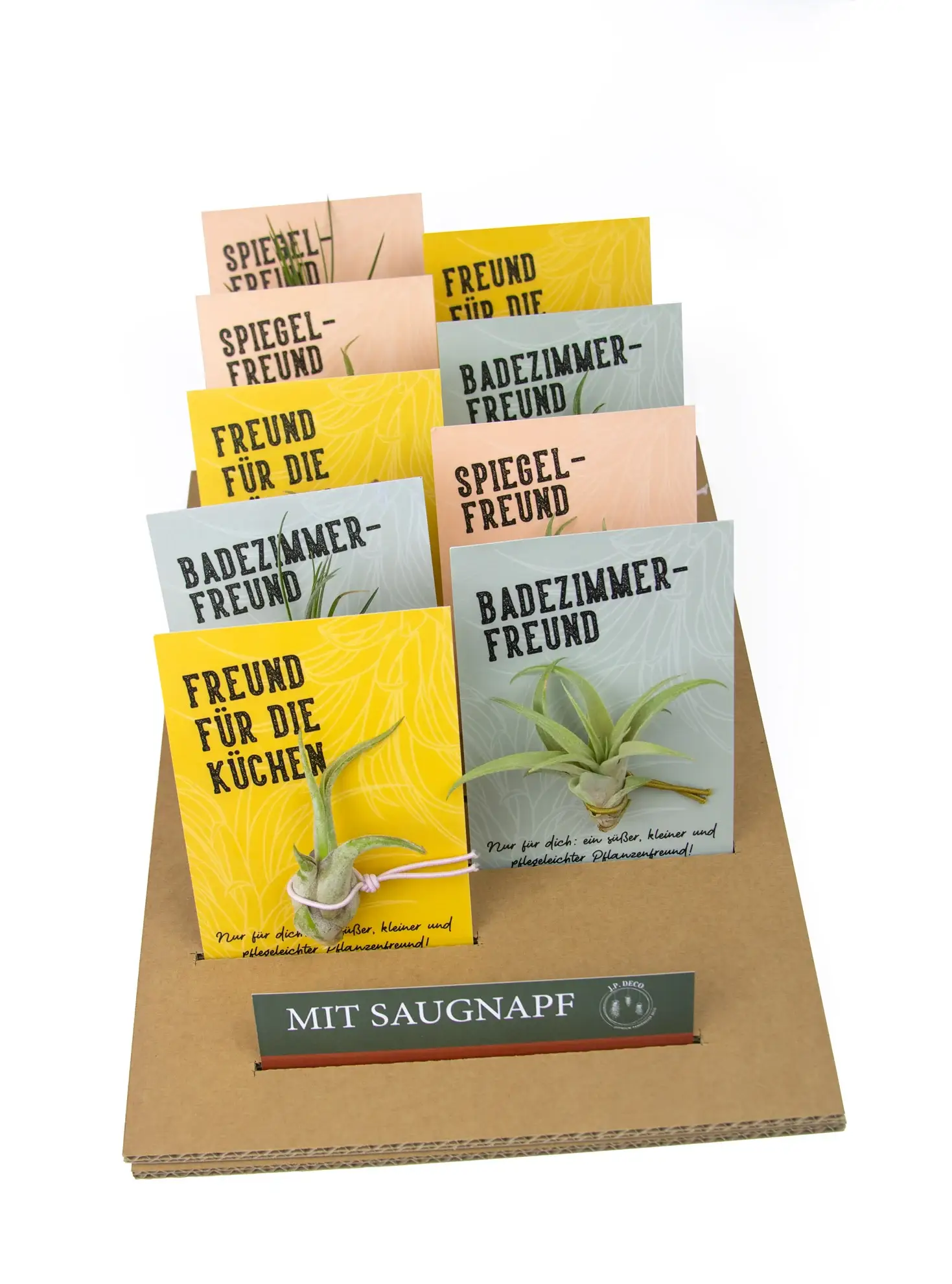 Juffrouw Pannenkoek deco /JP deco - Wholesale Live Plant - Plant Friends – set of 9 air plants with suction cup10