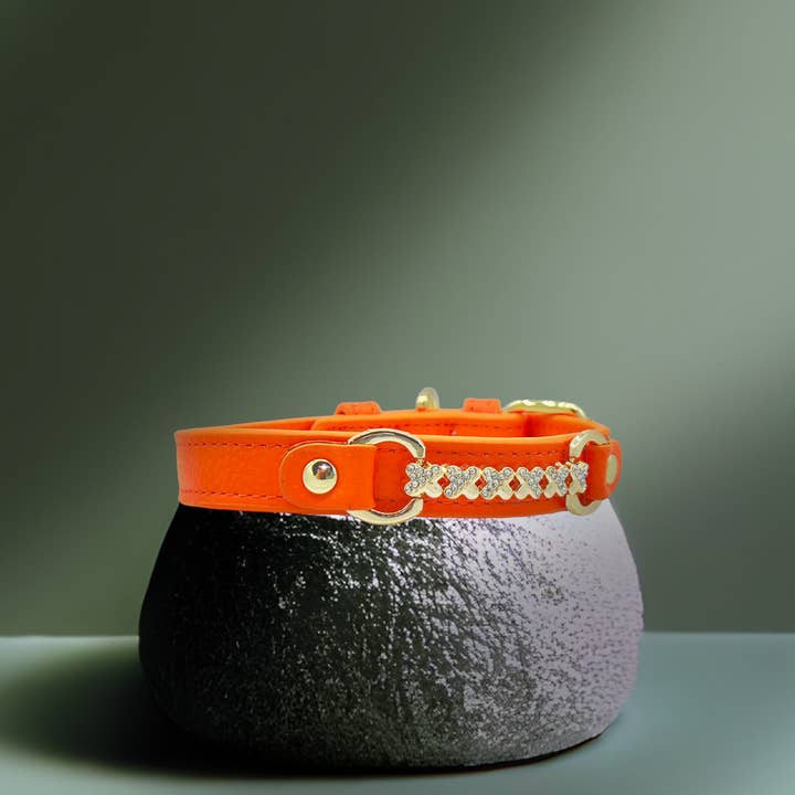 PupWiser - Wholesale Pet Collar - Dog - MAXIMA Handmade Leather Dog Collar (Orange and Turquoise)2